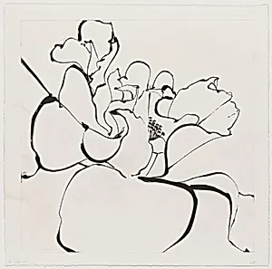 Camellia White [working proof 1]