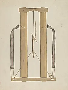Carrier