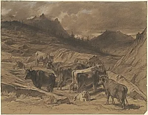 Cattle in the Auvergne