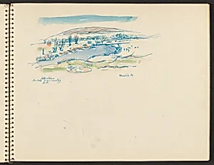 Cattle Stream, St. Johns River Country