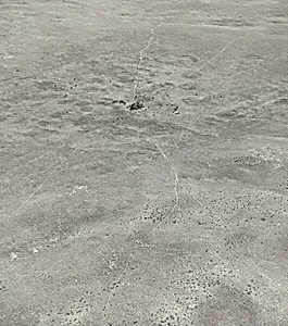 Cattle Water, Sand Hills, Merrill County, Nebraska