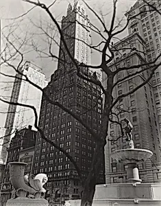 Central Park Plaza: Hotel Sherry Netherland (Center), Hotel Savoy Plaza (Right), Manhattan, Angle: From 58th Street and Fifth Avenue, Manhattan