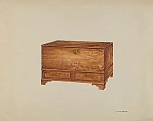 Chest