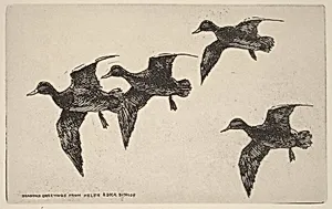 Christmas Card from Helen and Dick Bishop