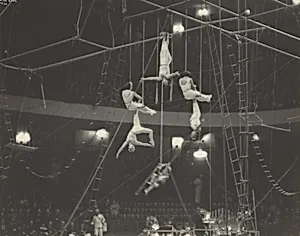 Circus Acrobats, New York