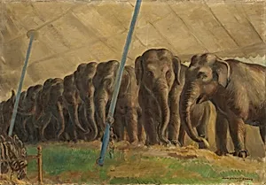 Circus Elephants