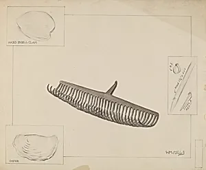 Clam Rake