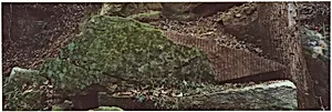 Clay/ Worked into a Stone/ Edges to Catch the Passing Light/ Government Island, Virginia
