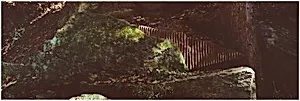 Clay/ Worked into a Stone/ Edges to Catch the Passing Light/ Government Island, Virginia