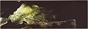 Clay/ Worked into a Stone/ Edges to Catch the Passing Light/ Government Island, Virginia