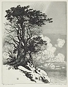 Coast at Monterey, California