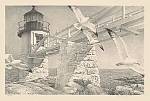 Coast of Maine