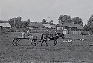 Collective Farm, Uzbekistan
