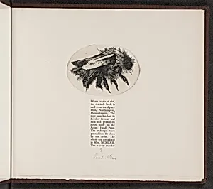 Colophon: Bee