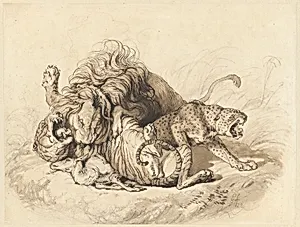 Contending Group after Nature [A Lion Fighting a Tiger and a Leopard]