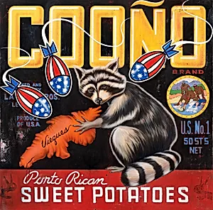 Cooño