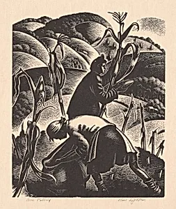 Corn Pulling