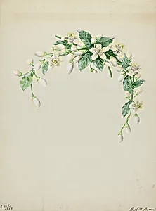 Costume Accessory (Orange Blossoms)
