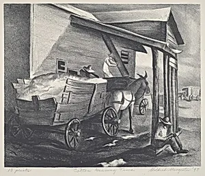 Cotton Ginning Time