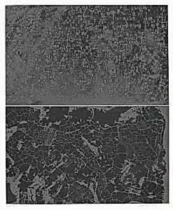 CPP5