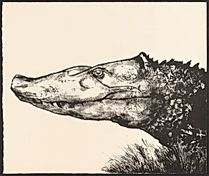 Crocodile