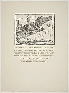 Crocodile