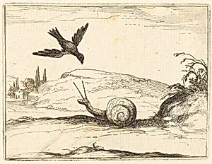 Crow and Snail by Jacques Callot