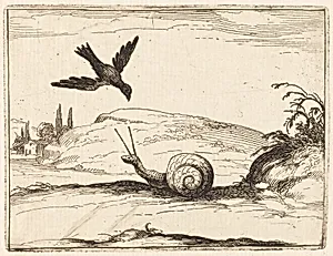 Crow and Snail by Jacques Callot