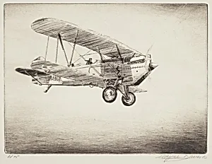 Curtiss Falcon D-12