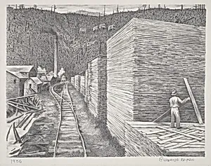 Cut-Over Land