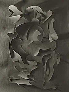 Cut Paper Drawing