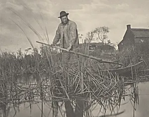 Cutting the Gladdon