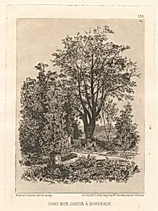 Dans Mon Jardin à Bordeaux by Maxime Lalanne