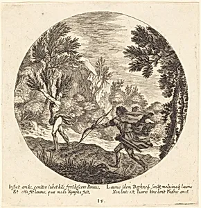 Daphne Turning to a Laurel