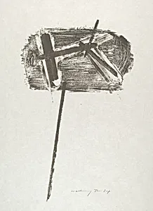 Debris