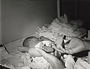 December 12, 1992, San Francisco, California