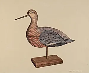 Decoy (Hudsonian Godwit)