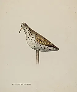 Decoy