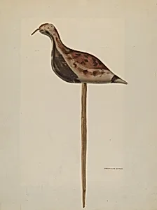 Decoy