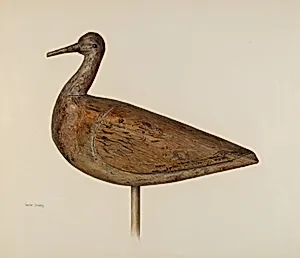 Decoy