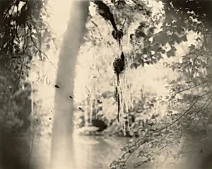 Deep South, Untitled (Three Drips)