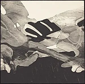 Details VI