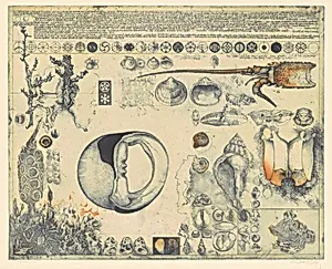 Diary and Shells