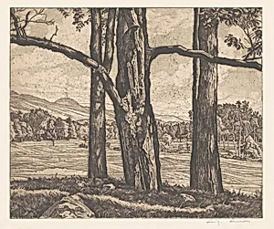 Dominating Trees