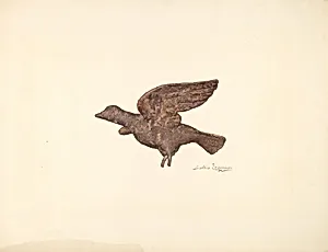 Dove