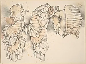 Drawing No. 5