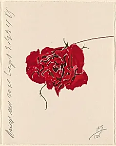Dried Red Rose