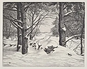 Drifted Snow