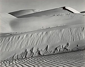 Dunes at Oceano 
