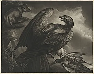 Eagle and Fox